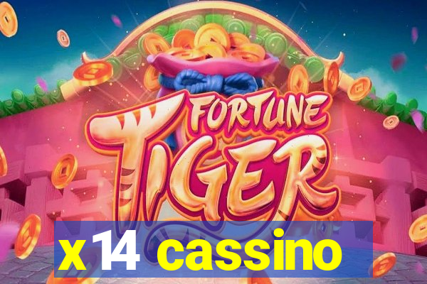 x14 cassino